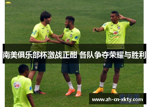 南美俱乐部杯激战正酣 各队争夺荣耀与胜利